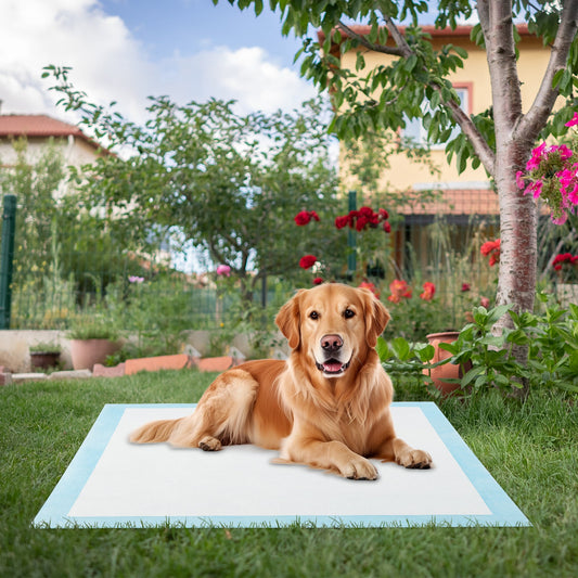 Dog and Puppy Pee Pads 90 x 90 cm(100 Counts) 6-Layer Leak-Proof Pet Pads-Blue