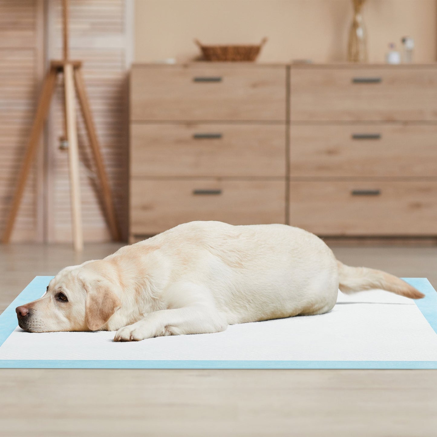 Dog and Puppy Pee Pads 90 x 90 cm(100 Counts) 6-Layer Leak-Proof Pet Pads-Blue