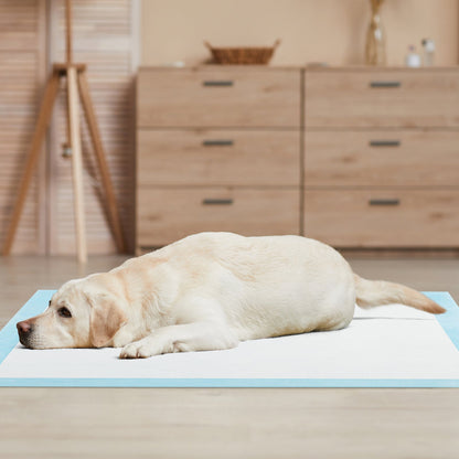 Dog and Puppy Pee Pads 90 x 90 cm(100 Counts) 6-Layer Leak-Proof Pet Pads-Blue