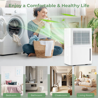 12L/Day Dehumidifier with Continuous Drying Auto Mode and 24H Timer-White