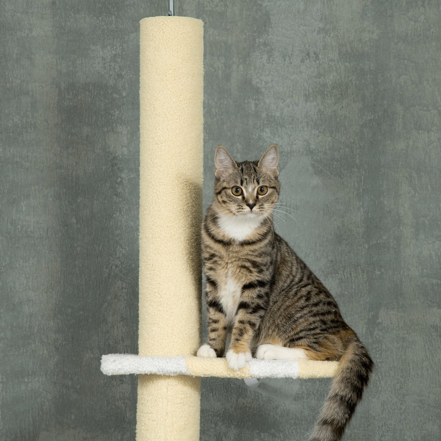 PawHut 260cm Adjustable Floor-To-Ceiling Cat Tree w/ Anti-Tipping Kit, Toy Ball