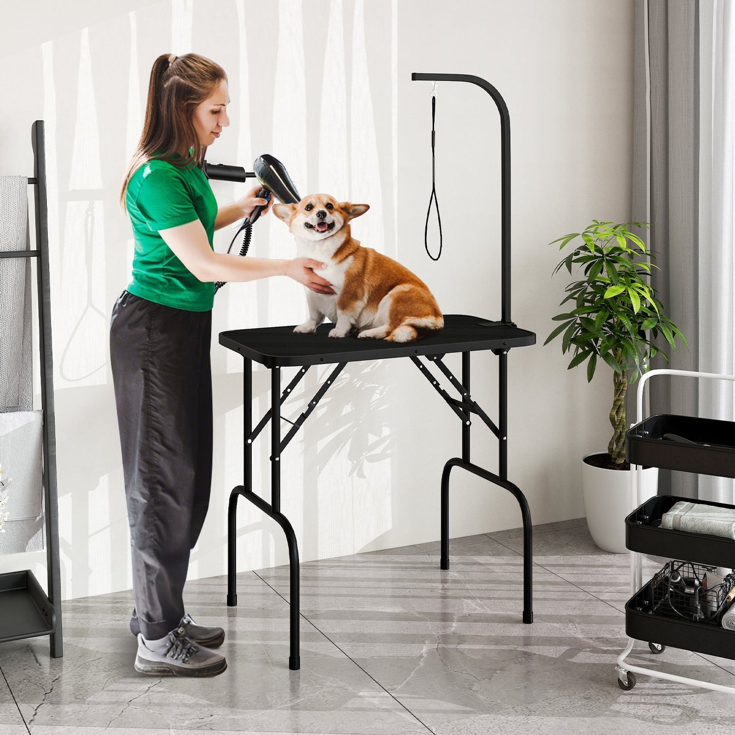 Foldable Dog Grooming Table with Height Adjustable Arms and Noose-Black