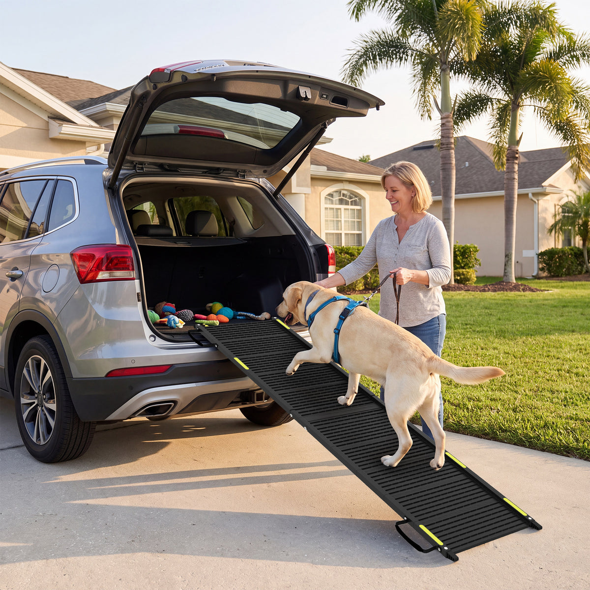 Folding Dog Ramp for Car 64.5"L x 16"W Portable Pet Ramp with Plastic Non-Slip Surface-Black