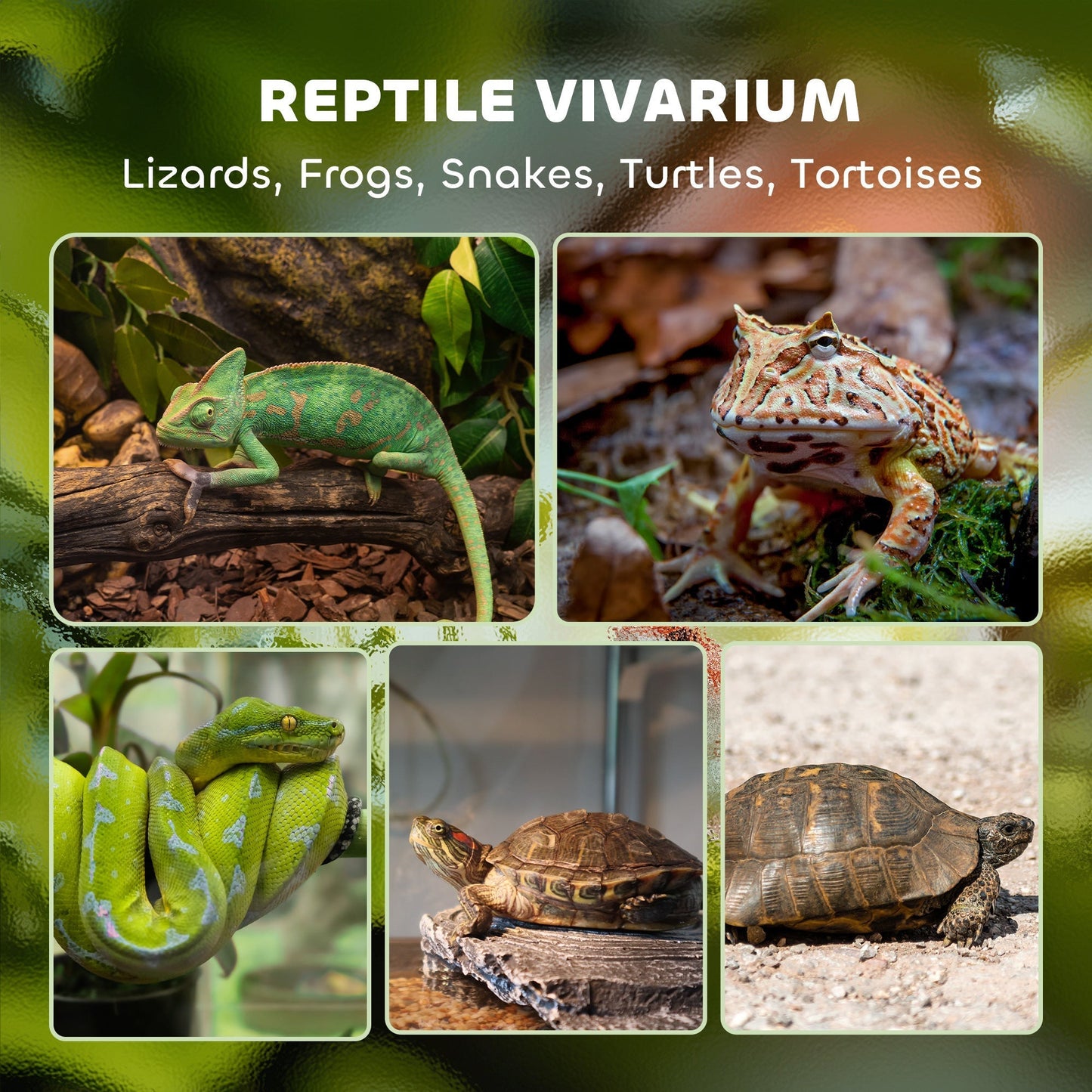 PawHut Reptile Glass Terrarium with Stone Background, Front Ventilation, Escape-Proof Knob Lock, 30 x 30 x 30 cm, Black