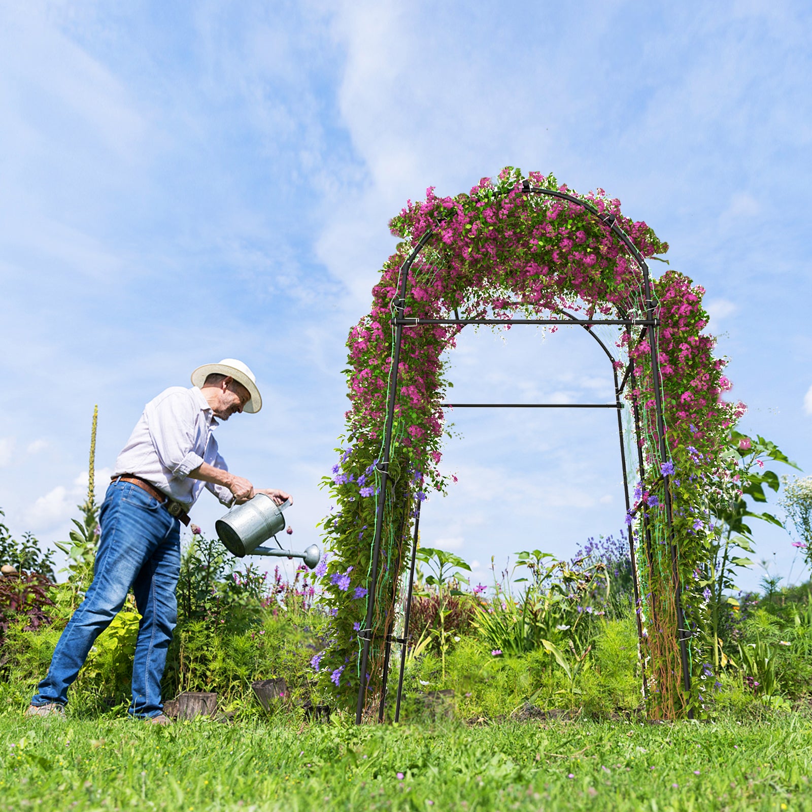 Garden Arch Trellis with PE Coated Metal Structure for Climbing Plants