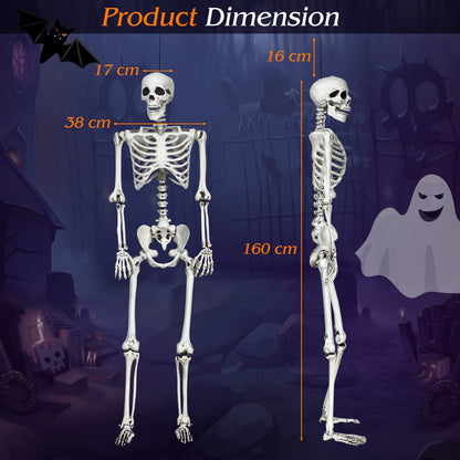 Halloween Life Size Full Body Skeleton Festival Skeleton Prop Decoration