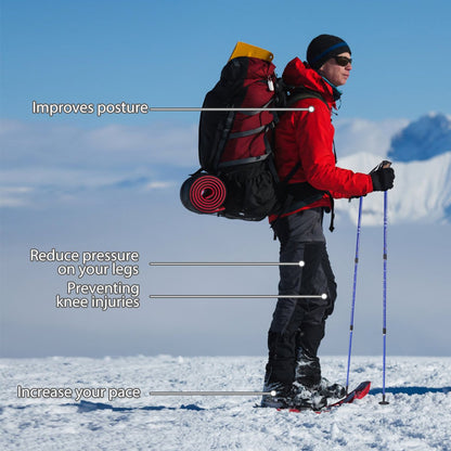 Hiking Pole Adjustable 65-135 cm-Navy
