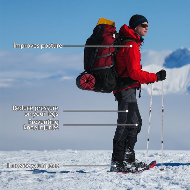 Hiking Pole Adjustable 65-135 cm-Silver