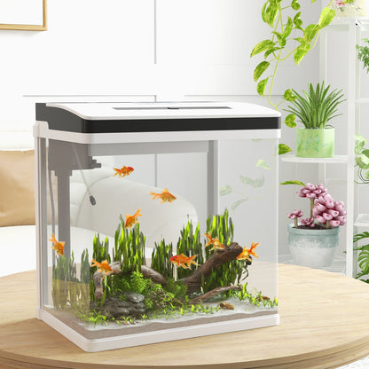 PawHut 28L Glass Aquarium Fish Tank with Filter, LED Lighting, for Betta, Guppy, Mini Parrot Fish, Shrimp, 38 x 26 x 39.5cm