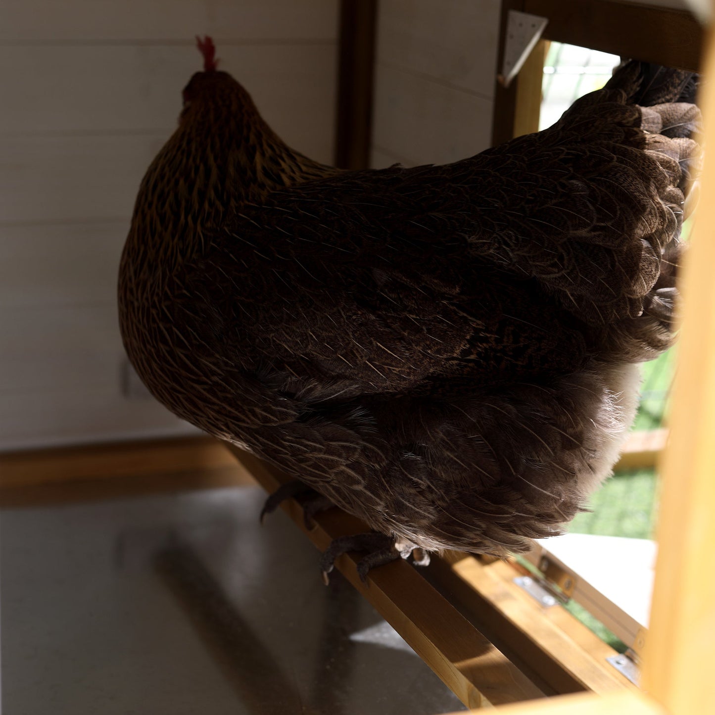 PawHut Chicken Coop, Rabbit Hutch, Hen House, Wooden Poultry Cage with Outdoor Run, Nesting Box, Removable Tray, Window and Lockable Door, 197 x 93 x 110cm