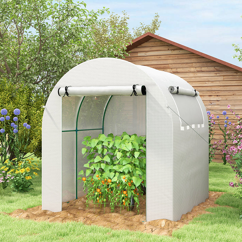 Outsunny Walk in Polytunnel Greenhouse، منزل أخضر للحديقة مع نافذة وباب قابلين للطي، 1.8 × 1.8 × 2 متر، أبيض