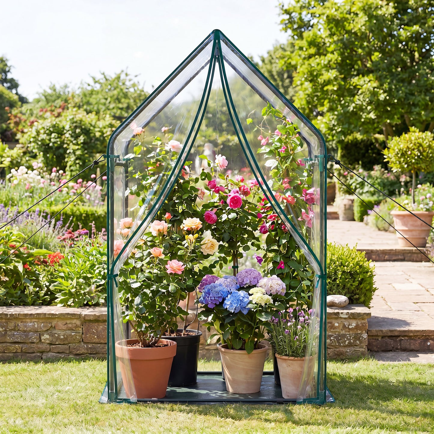 Mini Green House Metal Frame with Waterproof Bottom Mat and Wind Ropes-L