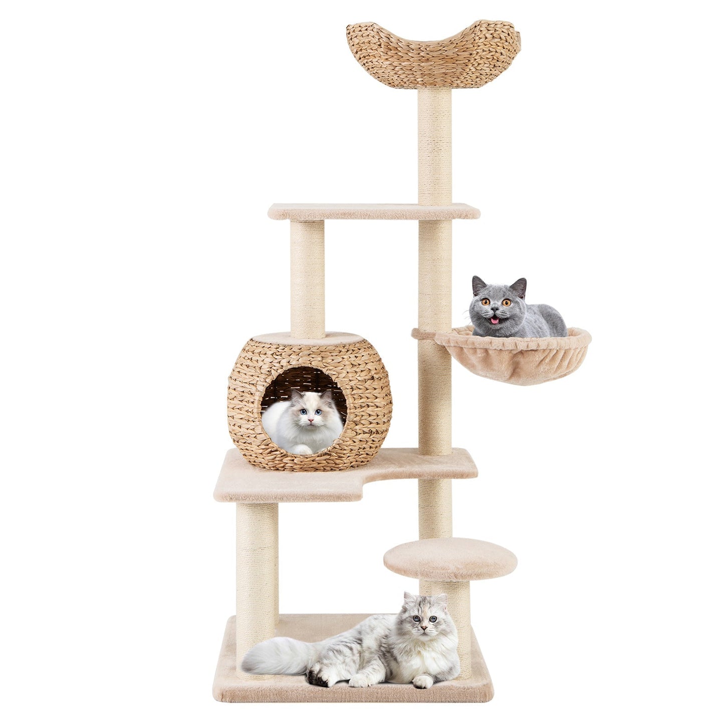 Multi-Level Cat Tree with Cattail Condo and Plush Perch-Beige
