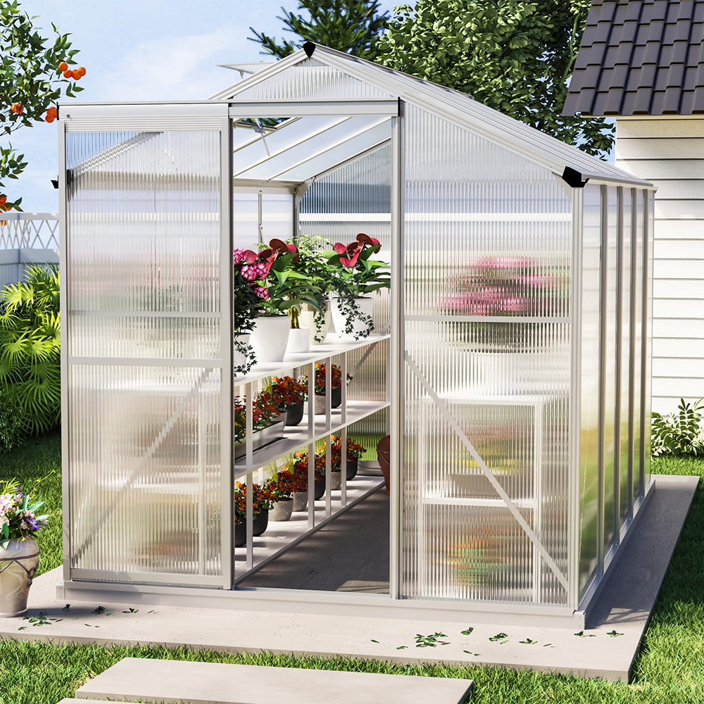 The Home Master Silver Aluminum Framed 6x6 Greenhouse with Vent