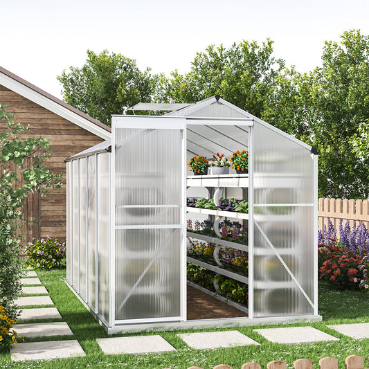 The Home Master Silver Aluminum Framed 6x6 Greenhouse with Vent