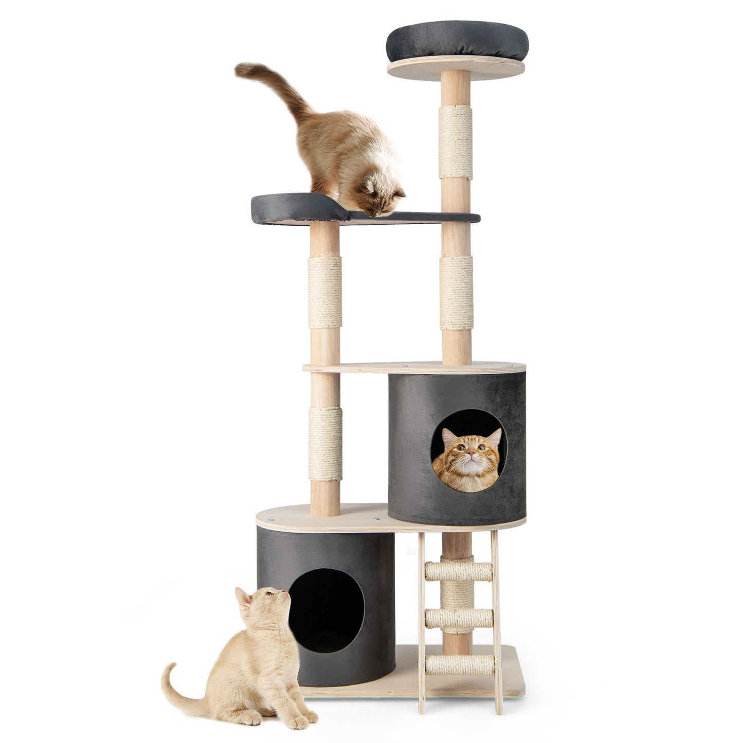 Multi-level Cat Furniture with 2 Cozy Condos-Grey