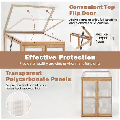 Portable Mini Wooden Greenhouse with 2 Removable Shelves