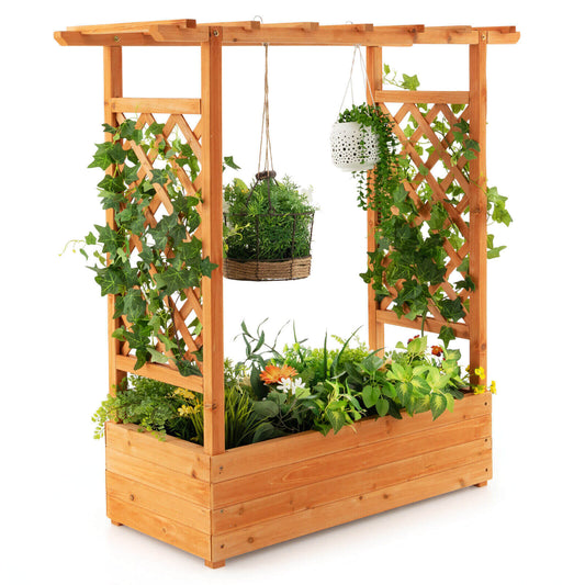 Raised Garden Bed with Top & Side Trellis for Garden