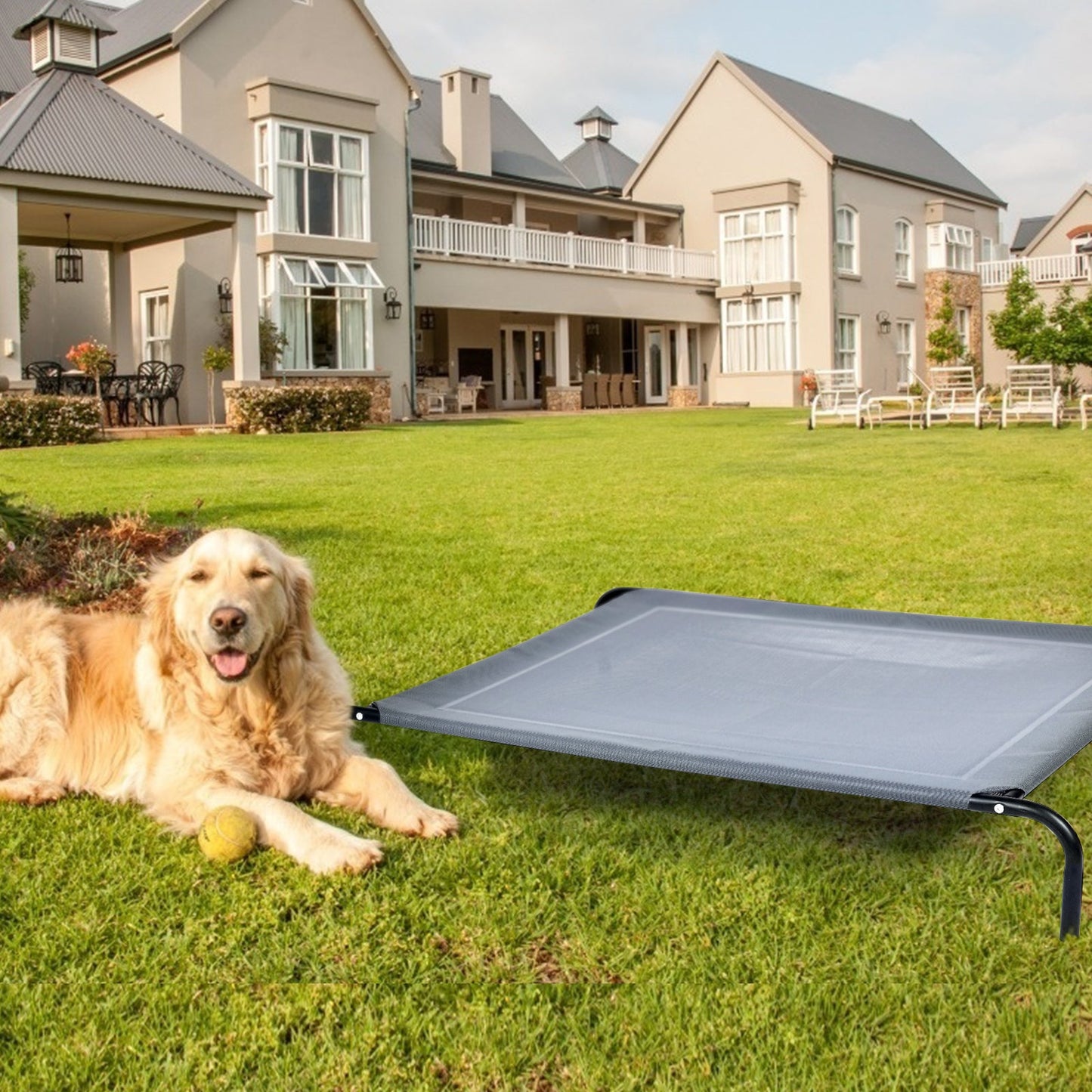 Raised Iron Dog Sofa Bed for Garden and Indoor-L