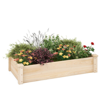 Rectangular Wooden Raised Garden Bed