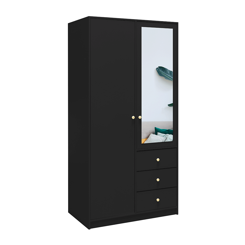 Black Mirrored Hinged Door Wardrobe 100cm – HUDSON D2