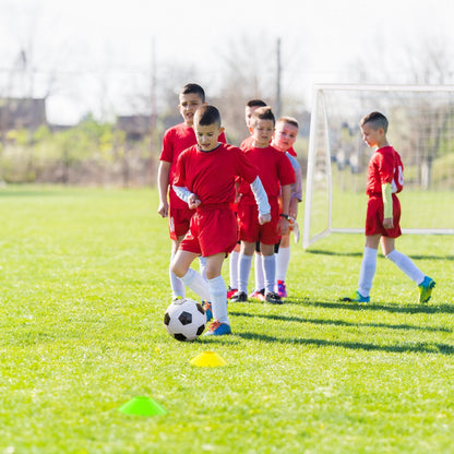 Adjustable Soccer Goal Football Training Equipment with 5 Soccer Training Cones