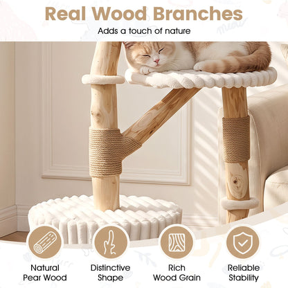 Solid Wood Cat Tree with Real Wood Branches and Scratching Posts for Indoor-Beige