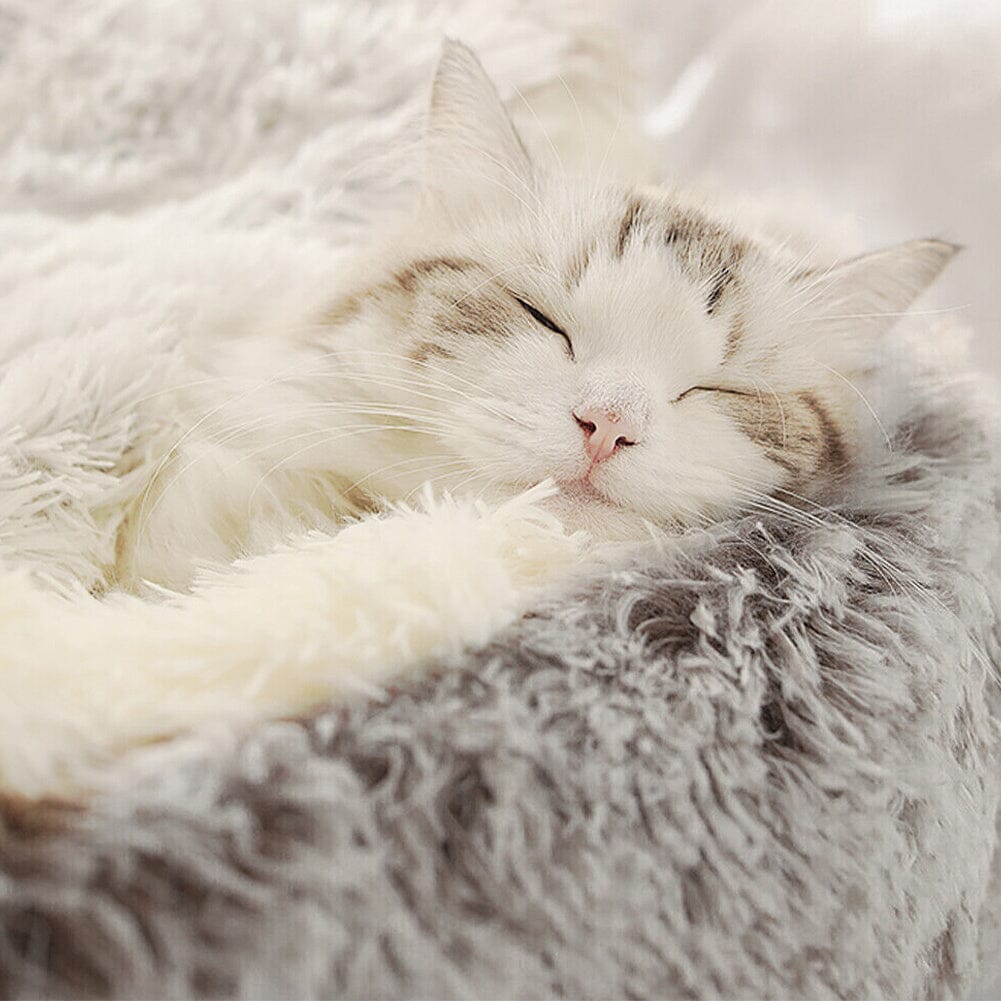 Soft Plush Pet Bed for Cats and Dogs