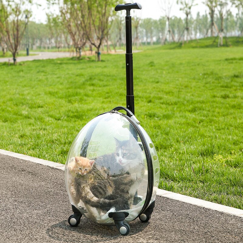 Transparent White Pet Travel Trolley Suitcase