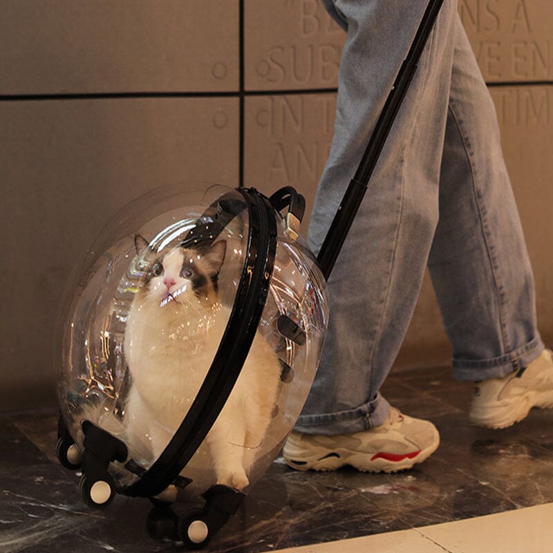 Transparent White Pet Travel Trolley Suitcase