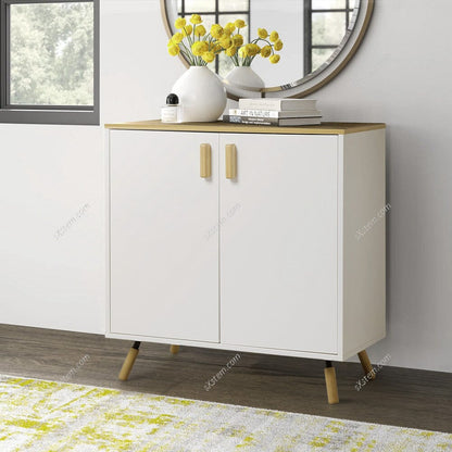 Modern Accent Storage Cabinet with Dual Doors
