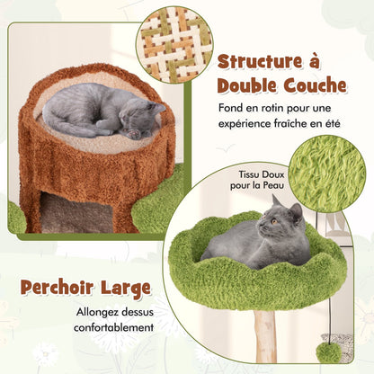 Multi-level Cat Tree Tree Hole Designed Cat Tower with Double Decker Cat House-Brown