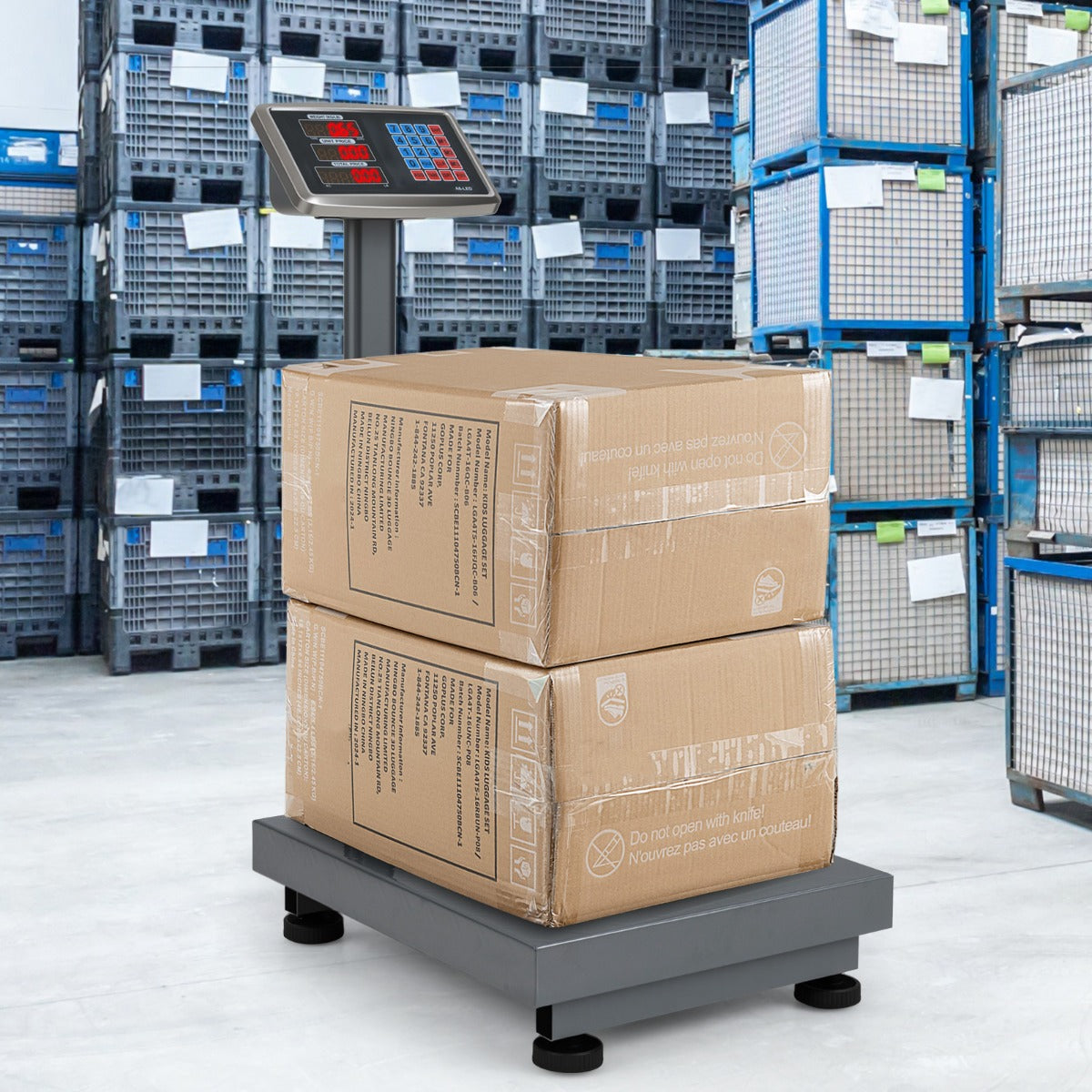 Computing Digital Platform Scale-Silver