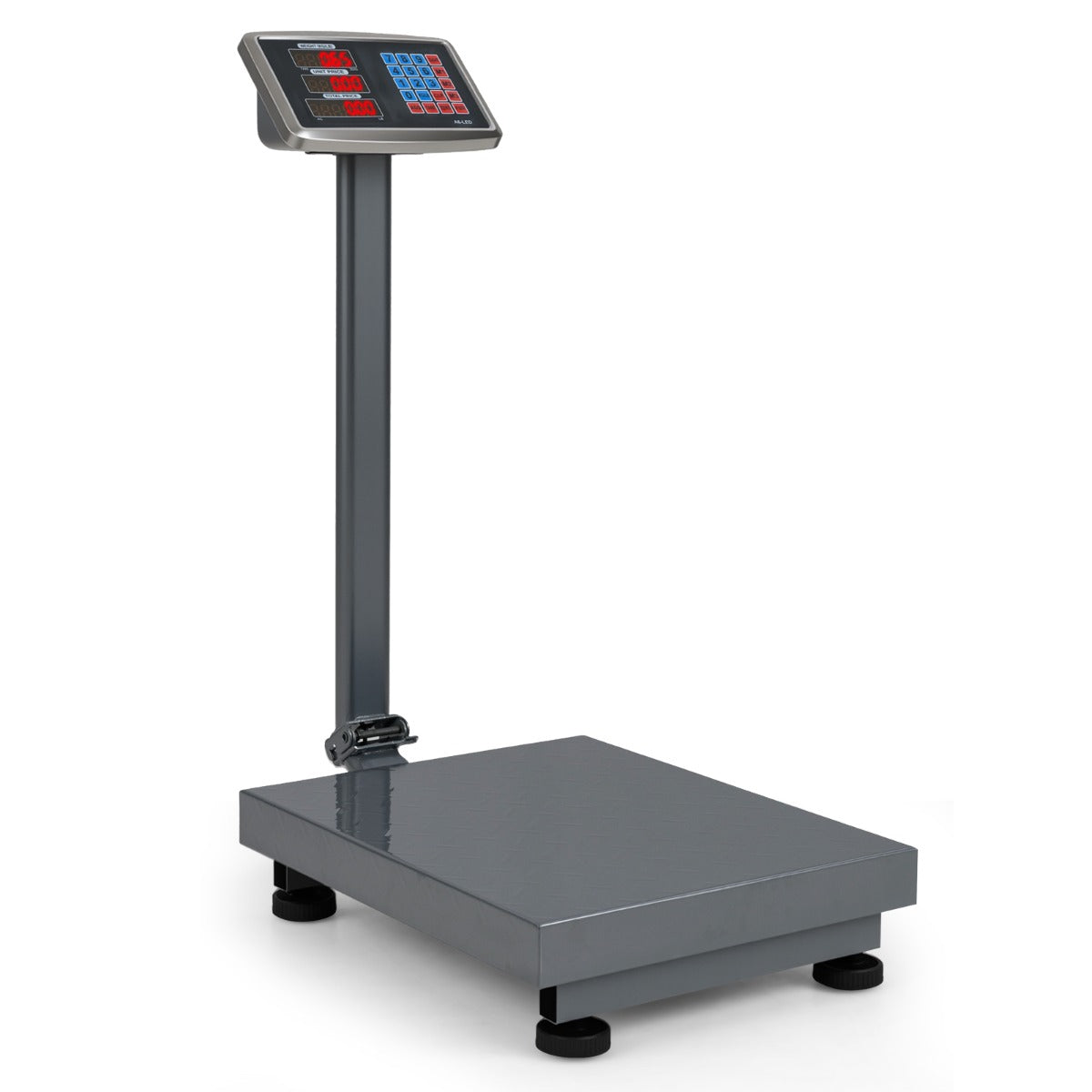 Computing Digital Platform Scale-Silver