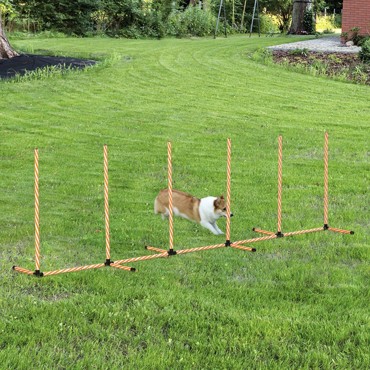 مجموعة أدوات تدريب التعرج من PawHut Dog Agility Weave Poles Course معدات Slalom مع حقيبة