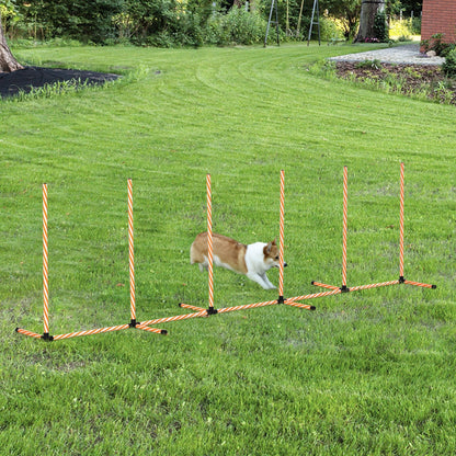 مجموعة أدوات تدريب التعرج من PawHut Dog Agility Weave Poles Course معدات Slalom مع حقيبة