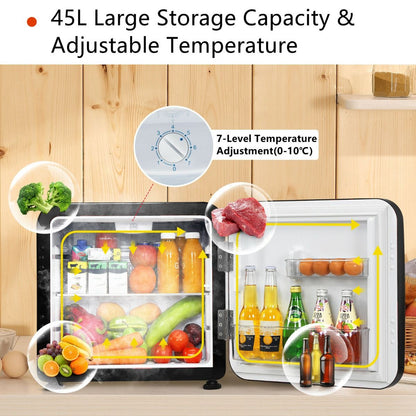 0~10℃ Compact Refrigerator with Reversible Door for Dorm Apartment-Black