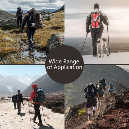 Hiking Pole Aluminum Trekking Pole Walking Pole Adjustable 65-135 cm-Black