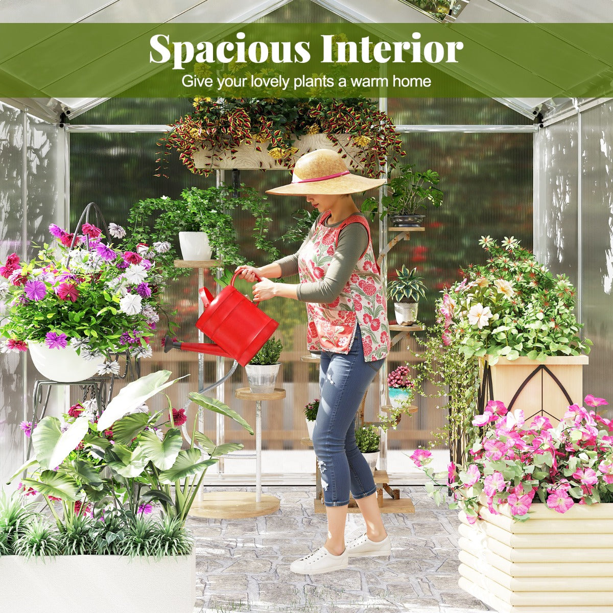 185 x 185 cm/244 x 185 cm Greenhouse Large Walk-in Green House-S