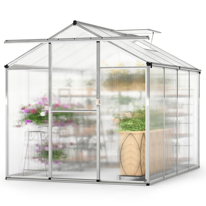 185 x 185 cm/244 x 185 cm Greenhouse Large Walk-in Green House-M
