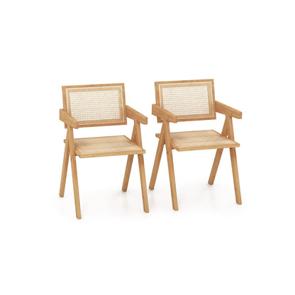 Rattan Accent Chairs Set of 2 with Natural Bamboo Frame-Natural