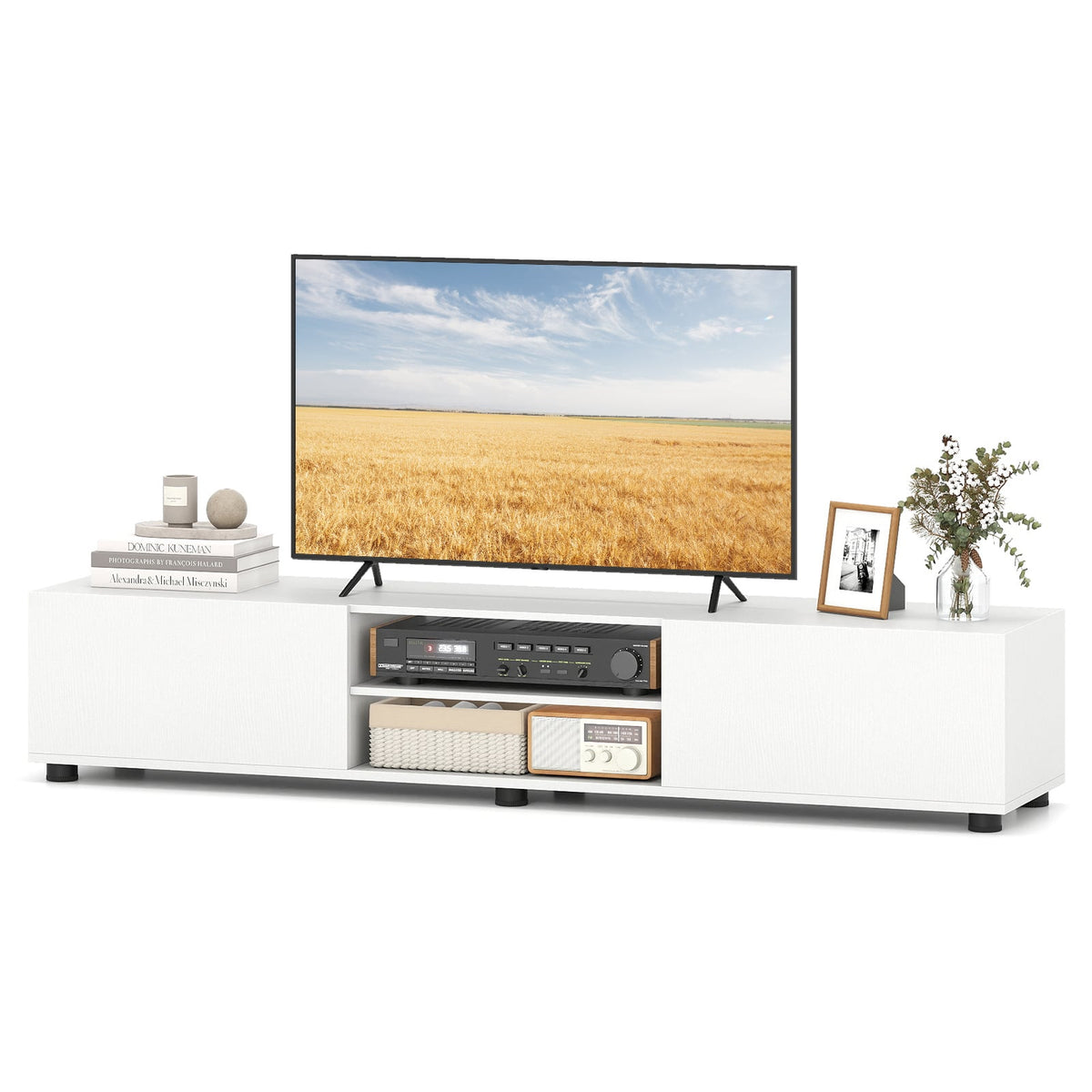Modern TV Stand in White