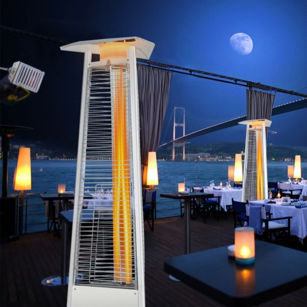 42,000 BTU Outdoor Patio Gas Heater with Wheels and Regulator