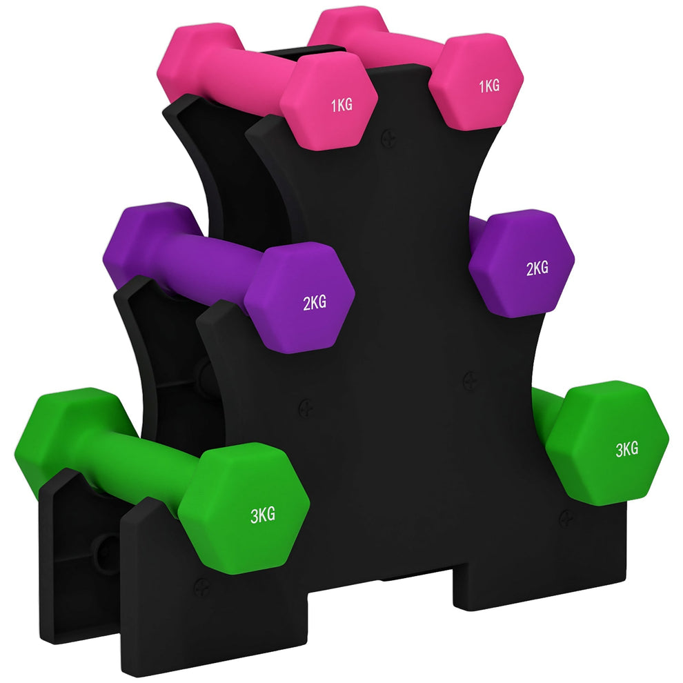 SPORTNOW 2 x 1kg, 2 x 2kg, 2 x 3kg Dumbbells Set with Dumbbell Rack, H ...