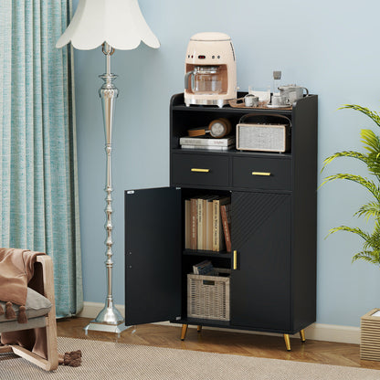 Storage Cabinet with 2 Drawers and 2 Doors-Black