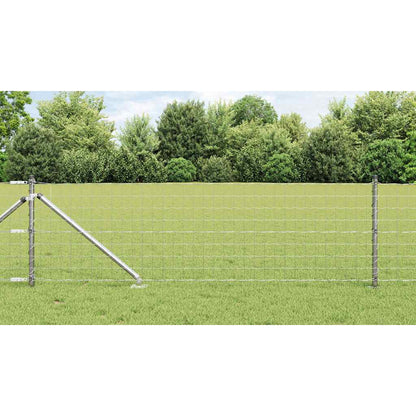 vidaXL Euro Fence with Spikes 50 x 0.6 m Galvanised Steel Silver Mesh 1