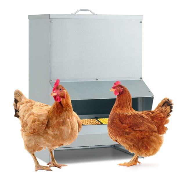 22kg Capacity Galvanized Chicken Feeder Wall Mounted with Lid No Waste Food Dispenser Silver
