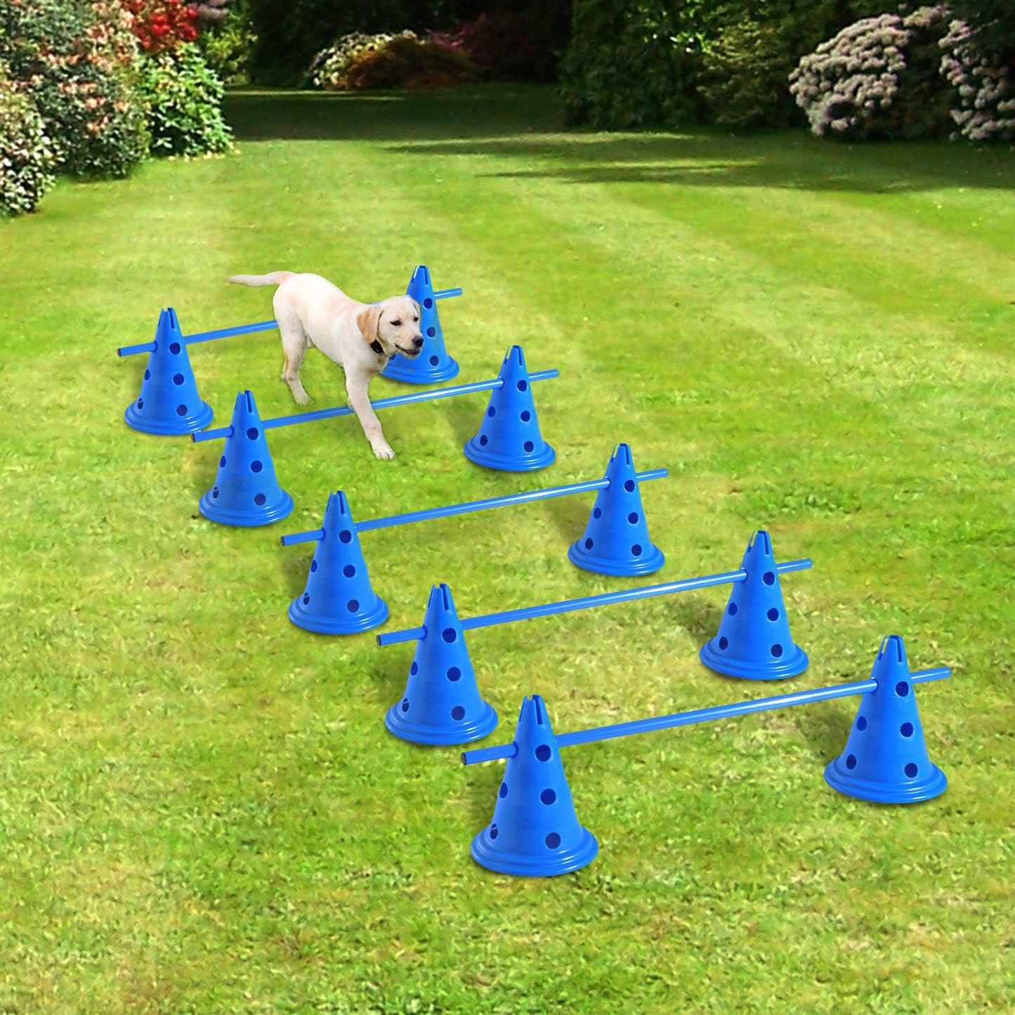 PawHut Dog Agility Equipment Training Hurdles Play Run Jump Kit Indoor Outdoor Pet Puppy Exercise Sets w/ 5 Cross Bars & 10 Cones